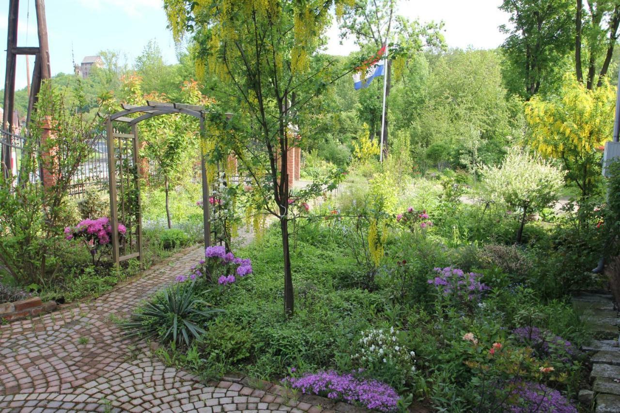 Villa Oranje Bolkow Eksteriør billede